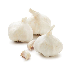 Ail frais à bas prix disponible pour les achats en gros et l'exportation - Product Image 3