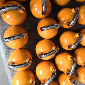 Rekabetçi spor salonu Fitness 48kg <span class=keywords><strong>Kettlebell</strong></span> ile paslanmaz çelik saplar paslanmaz çelik rekabet <span class=keywords><strong>Kettlebell</strong></span> - Product Image 5