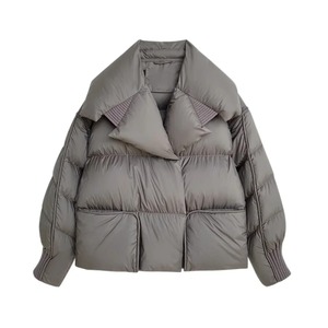 Chaqueta acolchada de invierno 2024 para mujer, abrigo de pato blanco, manga extraíble, ropa de calle corta, Parkas cálidas de talla grande XL, estampado Reversible - Product Image 1