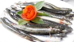 PROVEEDOR PREMIUM DE PESCADO DE GOBY CONGELADO AL POR MAYOR OFERTA CALIENTE TOP VENTAS EXPORTACIÓN DE FÁBRICA DE MARISCOS DE VIETNAM - Product Image 6