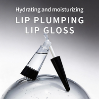 Gloss à lèvres volumateur personnalisé Max Lip Filler, végan, acide hyaluronique liquide, huile éclaircissante, marque privée, volumateur de lèvres hydratant