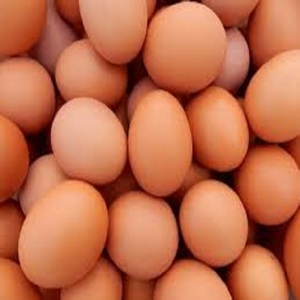 Huevos Frescos de Gallina Premium para Exportación, Cáscara Marrón y Blanca, Suministro Directo de Granja, Precio al por Mayor, Envío Rápido - Product Image 1