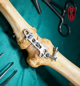 Veterinair Mini Tpl0 Roestvrijstalen Plaatsysteem: Efficiënt Aanpassen Aan De Behoeften Van Kleine Dierlijke Orthopedische Implantaten - Product Image 3