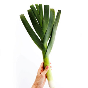 ผักต้นหอม - Product Image 4