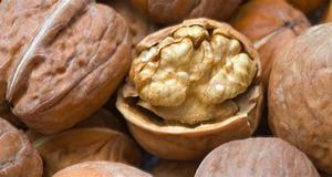 Nuez altamente nutritiva Granos de nuez de alta calidad y buen precio para exportaciones al por mayor en todo el mundo - Product Image 6