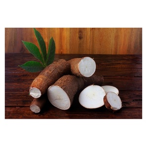 Fournisseur en gros de stock frais en vrac de légumes frais et de manioc - Product Image 3
