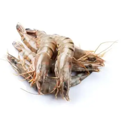 Cheap Price vannamei shrimps and black tiger shrimps