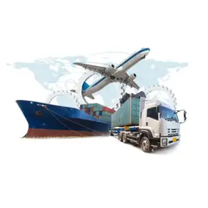 SPコンテナフォワードエージェントベトナムフォワーダー中国からドイツ/イタリア/スペインへddp freight lcl consolidatorサービスとして