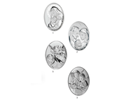 Plaque Métallique Ovale Personnalisable Faite à la Main 115x9,5 cm, Icône Famille Sacrée en Argent, Décoration Maison, Souvenirs et Cadeaux Argenti