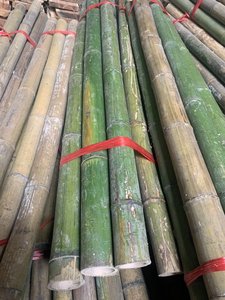 Tubos de bambú premium de Vietnam por 99D, oferta especial, material directo de fábrica para estructuras de muebles y uso en diseño de interiores - Product Image 4