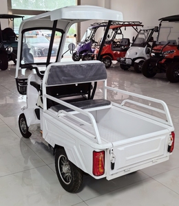 Carrito de Golf Eléctrico Personalizado al por Mayor, 2 Plazas, para Caza y Todoterreno, Carrito de Golf Chino 2+2, 4 Asientos - Product Image 6