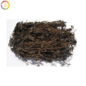 ใบเจลลี่หญ้าแห้งจากเวียดนามส่วนผสมจากธรรมชาติสำหรับทำเยลลี่แบบดั้งเดิมและเครื่องดื่มเย็นในฤดูร้อน - Product Image 1