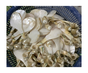 La mejor opción de cuchara de nácar de lujo, cuchara ecológica hecha a mano, concha marina natural 100% - Product Image 4