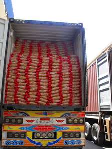 Top-Rated High Quality Dried Macaroni 5 KG Export Egypt Packaged Bag Box - Product Image 4