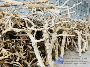 Ramas de madera de café natural para pajareras, hechas en Vietnam, duraderas, ecológicas, adorno para mascotas. - Product Image 5