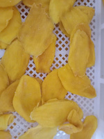 100% Natuurlijke Zachte Gedroogde Mango-Mekong Riviermerk