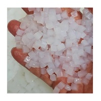 Nata de Coco Premium en promotion – Snack fruité, sucré et moelleux à base d'eau de coco pour Bubble Tea et Pudding – Emballage en sachet nutritif