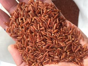 Rice-1kg ดูดฝุ่นขนาดเล็ก2กก. 5กก. สำหรับอาหารเพื่อสุขภาพของเวียดนามพร้อมข้าวแดงข้าวไรซ์ arroz เพิ่มขึ้น Rizo/anna DO Vilaconic - Product Image 4