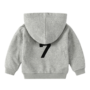 Sudadera con Capucha de Forro Polar para Niño, Diseño de Letras Bordadas, Cierre de Cremallera, 100% Algodón Grueso, Invierno, Deportiva, Personalizada al por Mayor - Product Image 5