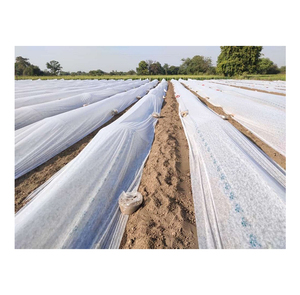 Cubierta de fila flotante transpirable de tela no tejida de polipropileno 100% directa de fábrica al por mayor para protección contra heladas Agricultura para bolsas - Product Image 1