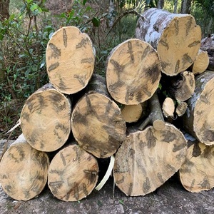 Incienso de madera de agar de alta calidad y soportes de incienso de madera un regalo fragante de la naturaleza - Product Image 5