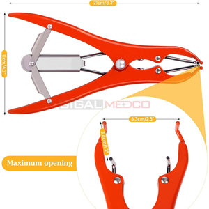 Pinces de castration réutilisables en acier inoxydable allemand pour chiens - Équipement chirurgical vétérinaire de haute qualité - Product Image 3