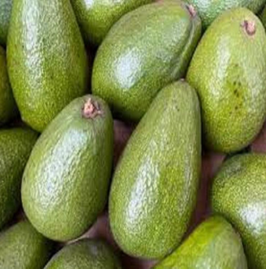Aguacate Hass Orgánico de la Mejor Calidad, Variedad Fresca Cultivada, a Precios Accesibles - Product Image 1