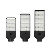 Lampadaire solaire à LED 150W avec batterie au lithium-ion Panneaux solaires de batterie au lithium-ion