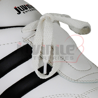 Chaussures professionnelles légères et respirantes pour arts martiaux Taekwondo Chaussures d'entraînement Offre Spéciale Taekwondo pour hommes