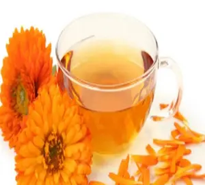 100% Pure Genda Oil Wholesale Suppliers Naturally Made Genda Oil (Tagetes )with Customized Size Available Tagetes Oil