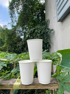 Vasos de Papel Desechables GREEN NEST con Recubrimiento de PE, Aislamiento Térmico de Doble Pared, para Llevar, Café, Bebidas Calientes, Precio Económico - Product Image 6