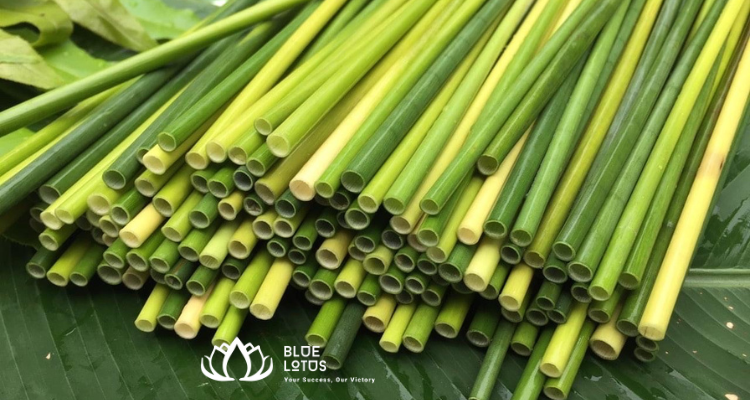 สีเขียวธรรมชาติ