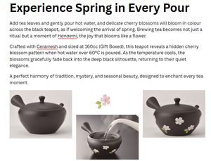 Ấm trà gốm sứ Hoa Anh Đào Nở Nóng Hana Emi Kyusu _ Thủ công truyền thống _ Di sản Nhật Bản _ Bán buôn đồ dùng trà _ Bộ ấm trà - Product Image 5