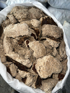 VIETNAM NATURAL COPRA MEAL CAKE FACTORY PROVEEDOR DIRECTO PRECIO COMPETITIVO - Product Image 2