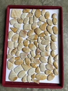 Joyería de piedra de cristal y coral fósil Natural de alta calidad El mejor producto fino 10-40mm Tamaño 2-10g Peso - Product Image 3