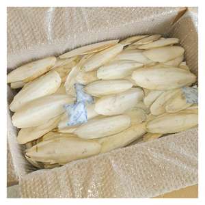 Os de seiche de qualité supérieure pour perroquets, canaris, tortues, texture ferme, sans humidité, emballé pour l'exportation en grande quantité - Product Image 4