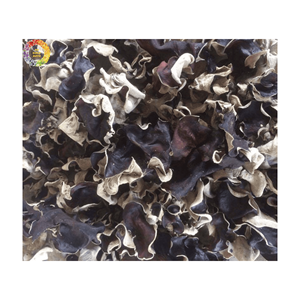 Hongo de la Nube Negro Seco de Primera Calidad, Hongo Comestible Seco, Hongo de la Nube Entero o en Rodajas, Venta al por Mayor a Granel - Product Image 2