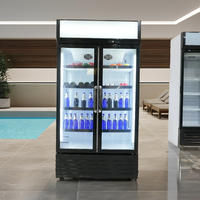 Réfrigérateur-congélateur vertical commercial portable avec compresseur pour la présentation de boissons en supermarché et hôtel