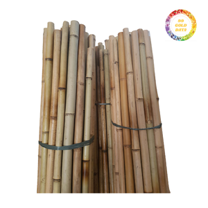 Poteaux de bambou traités coupés à la commande et emballés pour l'expédition dans les chaînes d'approvisionnement d'exportation servant à la décoration extérieure et à l'utilisation industrielle - Product Image 4