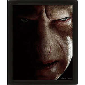 Póster 3D de Diseño Contemporáneo con Patrón de Retrato de Harry Potter vs. Voldemort - Product Image 2