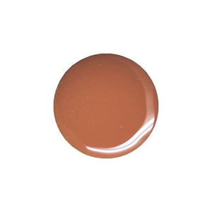 สีเจล Presto CE503 สีเบจมุก EX UV สำหรับทำเล็บ ใช้กับหลอดไฟ LED วัสดุเรซิ่น สำหรับงานศิลปะและความงาม บรรจุในขวด - Product Image 1