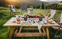 Grillades saines à chauffage rapide avec gril de table électrique de 350W gril de barbecue électrique infrarouge lointain pour une utilisation intérieure et extérieure