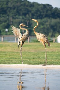 Escultura de Grúa de Tamaño Real, Decoración de Jardín, Accesorios Hechos a Mano, Estatua de Grúa Grande, Conjuntos de Regalos, Artículos para Eventos - Product Image 2