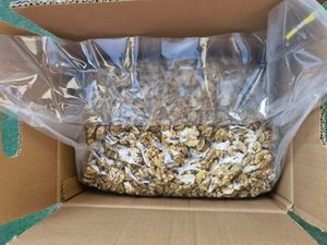 ขายวอลนัทออร์แกนิกจากอังกฤษ - Product Image 2