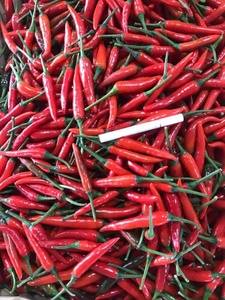 พริกแช่แข็งคุณภาพสูงในราคาที่ดีที่สุด - Product Image 3