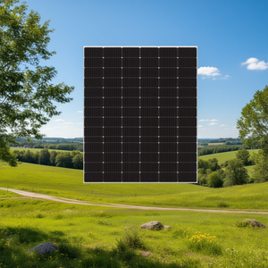 Panneau solaire UPSEN SP250P-36 - Product Image 3