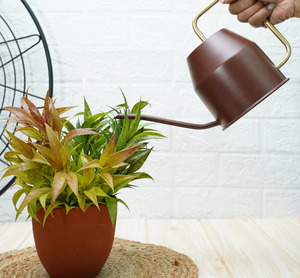 Selección de regadera para exteriores impulsada por un propósito, desde el jardín hasta el invernadero, los mejores estilos para la funcionalidad de macetas - Product Image 2