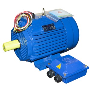 Moteur électrique à courant alternatif triphasé 380V-50hz-60hz moteur électrique à courant alternatif moteur asynchrone avec noyau de cuivre de boîtier en fonte - Product Image 4