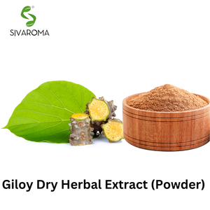 Bán chạy nhất cung cấp tự nhiên giloy guduchi bột với 2 kg Gói cho công nghiệp sử dụng bột để bán bởi số lượng lớn xuất khẩu của Ấn Độ - Product Image 5