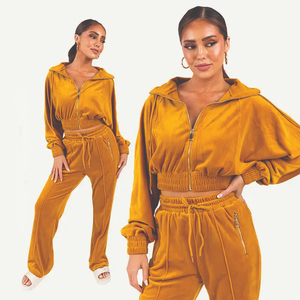 Survêtement deux pièces décontracté survêtement femmes velours 2 pièces ensemble en gros recadrée fermeture éclair à capuche velours survêtements ensemble - Product Image 6